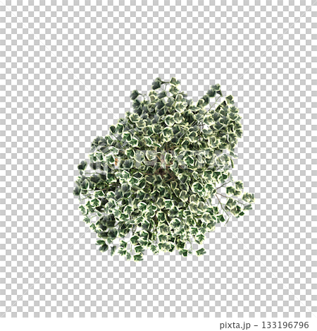 decorative flowers and plants for the interior, isolated on transparent background, 3D illustration, cg render 133196796