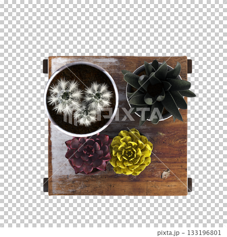 decorative flowers and plants for the interior, isolated on transparent background, 3D illustration, cg render decorative flowers and plants for the interior, isolated on transparent background, 3D illustration, cg render 133196801