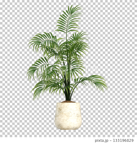 decorative flowers and plants for the interior, isolated on transparent background, 3D illustration, cg render decorative flowers and plants for the interior, isolated on transparent background, 3D illustration, cg render 133196829