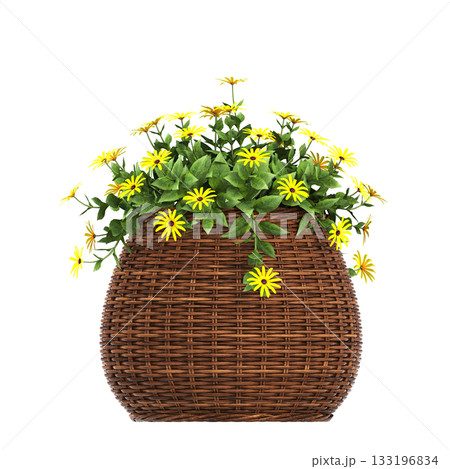 decorative flowers and plants for the interior, isolated on transparent background, 3D illustration, cg render decorative flowers and plants for the interior, isolated on transparent background, 3D illustration, cg render 133196834