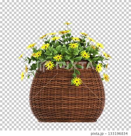 decorative flowers and plants for the interior, isolated on transparent background, 3D illustration, cg render decorative flowers and plants for the interior, isolated on transparent background, 3D illustration, cg render 133196834