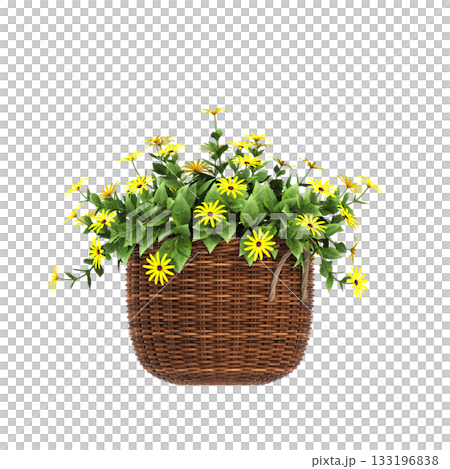 decorative flowers and plants for the interior, isolated on transparent background, 3D illustration, cg render decorative flowers and plants for the interior, isolated on transparent background, 3D illustration, cg render 133196838