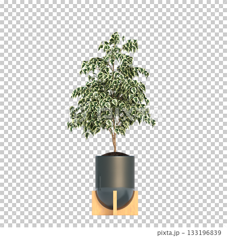 decorative flowers and plants for the interior, isolated on transparent background, 3D illustration, cg render decorative flowers and plants for the interior, isolated on transparent background, 3D illustration, cg render 133196839