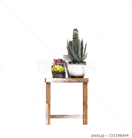 decorative flowers and plants for the interior, isolated on transparent background, 3D illustration, cg render 133196844