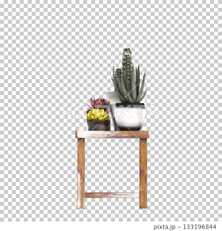 decorative flowers and plants for the interior, isolated on transparent background, 3D illustration, cg render 133196844