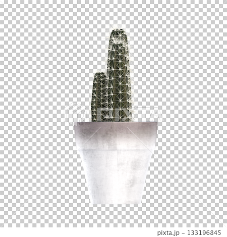 decorative flowers and plants for the interior, isolated on transparent background, 3D illustration, cg render 133196845
