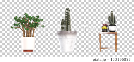 decorative flowers and plants for the interior, isolated on transparent background, 3D illustration, cg render decorative flowers and plants for the interior, isolated on transparent background, 3D illustration, cg render 133196855