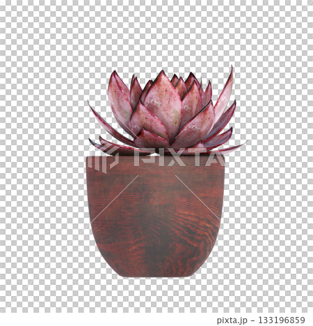 decorative flowers and plants for the interior, isolated on transparent background, 3D illustration, cg render decorative flowers and plants for the interior, isolated on transparent background, 3D illustration, cg render 133196859