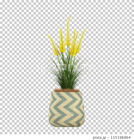 decorative flowers and plants for the interior, isolated on transparent background, 3D illustration, cg render 133196864