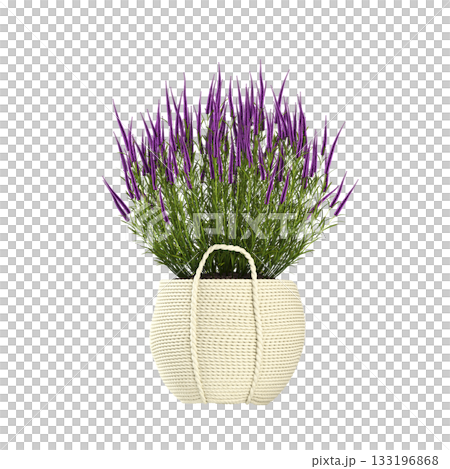 decorative flowers and plants for the interior, isolated on transparent background, 3D illustration, cg render decorative flowers and plants for the interior, isolated on transparent background, 3D illustration, cg render 133196868