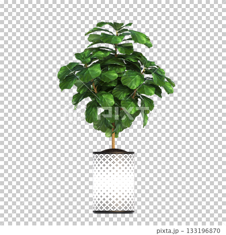 decorative flowers and plants for the interior, isolated on transparent background, 3D illustration, cg render decorative flowers and plants for the interior, isolated on transparent background, 3D illustration, cg render 133196870