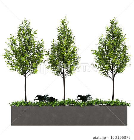 decorative flowers and plants for the interior, isolated on transparent background, 3D illustration, cg render 133196875