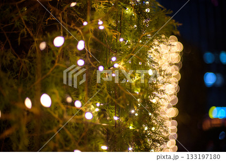Festive String Lights on Tree with Bokeh Effect 133197180