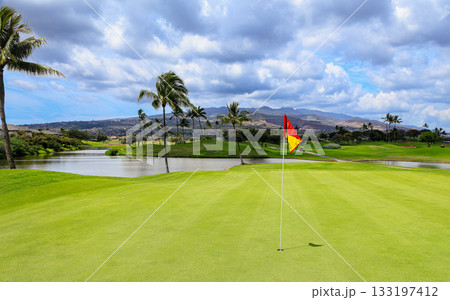 ハワイ（オアフ島）の休日（ゴルフライフ）カポレイNO16 133197412