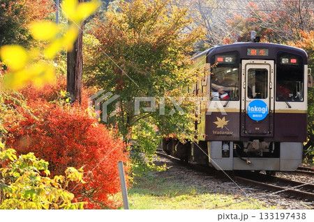 わたらせ渓谷鐵道「晩秋の陽ざしに照らされた木々と列車」 133197438