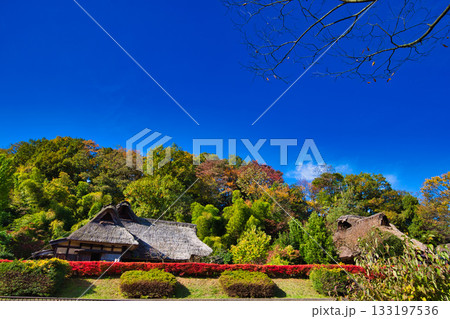 カルチャーパークの秋 カルチャーパークの秋 133197536