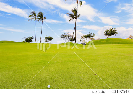 ハワイ(オアフ島)の休日(ゴルフライフ)カポレイNO13 ハワイ(オアフ島)の休日(ゴルフライフ)カポレイNO13 133197548