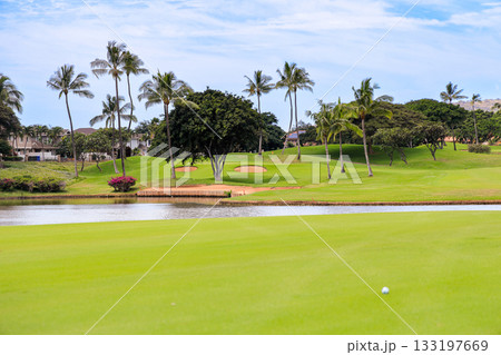 ハワイ(オアフ島)の休日(ゴルフライフ)カポレイno14 ハワイ(オアフ島)の休日(ゴルフライフ)カポレイno14 133197669