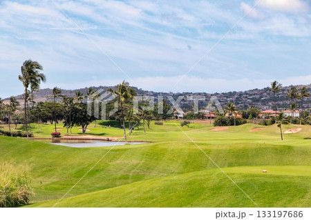 ハワイ（オアフ島）の休日（ゴルフライフ）カポレイno14 133197686