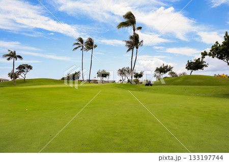 ハワイ（オアフ島）の休日（ゴルフライフ）カポレイNO13 133197744