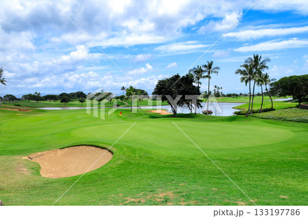 ハワイ(オアフ島)の休日(ゴルフライフ)カポレイNO14 ハワイ(オアフ島)の休日(ゴルフライフ)カポレイNO14 133197786