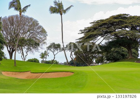 ハワイ(オアフ島)の休日(ゴルフライフ)カポレイno10 ハワイ(オアフ島)の休日(ゴルフライフ)カポレイno10 133197826