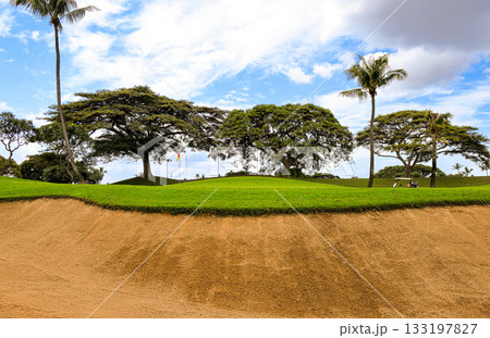 ハワイ(オアフ島)の休日(ゴルフライフ)カポレイno10 ハワイ(オアフ島)の休日(ゴルフライフ)カポレイno10 133197827