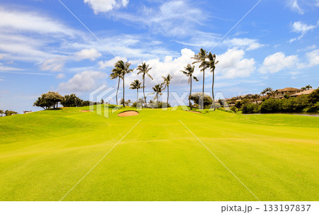 ハワイ（オアフ島）の休日（ゴルフライフ）カポレイno15 133197837