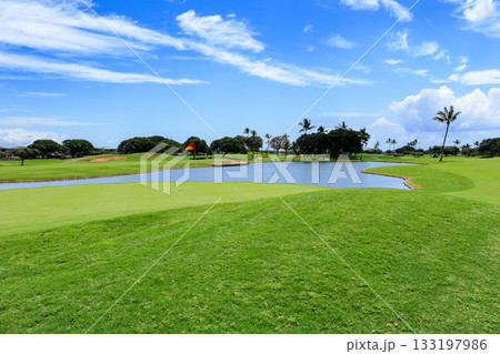 ハワイ（オアフ島）の休日（ゴルフライフ）カポレイno11 133197986