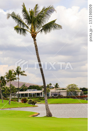 ハワイ（オアフ島）の休日（ゴルフライフ）カポレイNO11 133198009