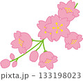 桜の花と枝のシンプルでかわいいベクターイラスト 133198023