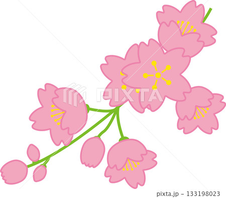 桜の花と枝のシンプルでかわいいベクターイラスト 133198023