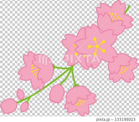 Simple and cute vector illustration of cherry blossoms and branches 133198023