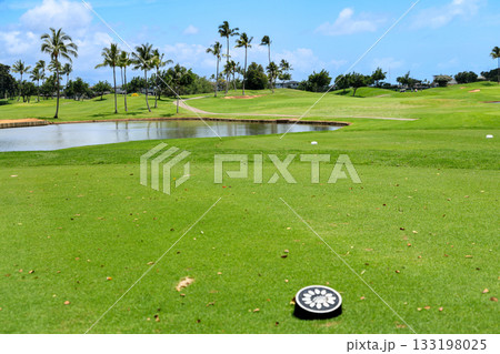 ハワイ（オアフ島）の休日（ゴルフライフ）カポレイNO15 133198025