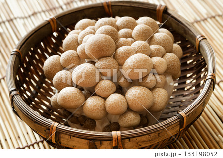 ブナシメジ 133198052