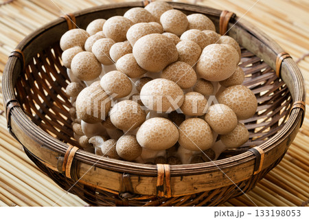 ブナシメジ ブナシメジ 133198053