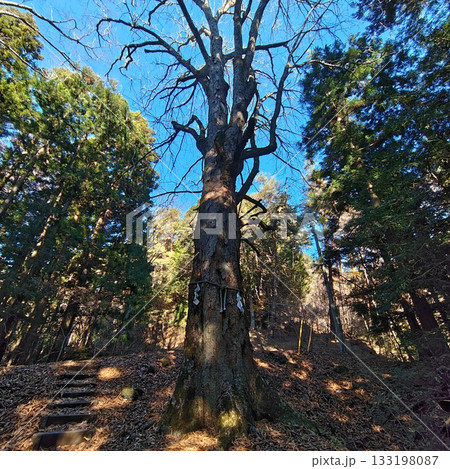 低山ハイク　冬　登山 133198087