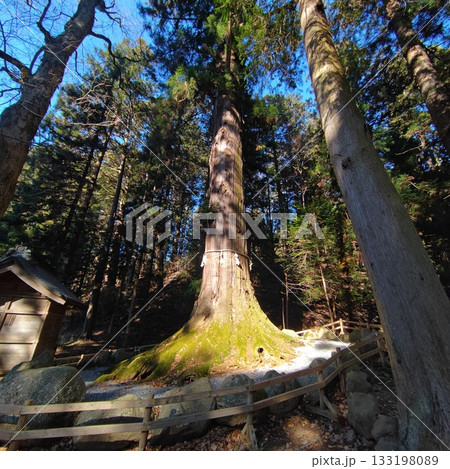 低山ハイク　冬　登山 133198089