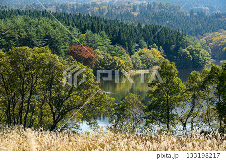 秋の鳥海山麓 扇谷地池 秋田県 秋の鳥海山麓 扇谷地池 秋田県 133198217
