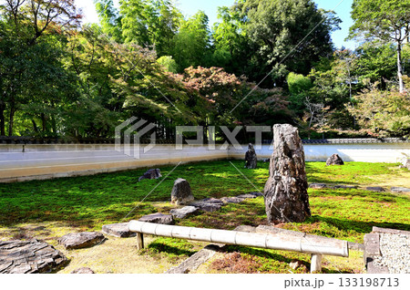 真長寺　庭園 133198713