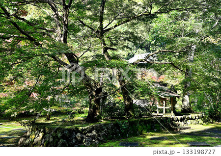 大智寺 境内 大智寺 境内 133198727