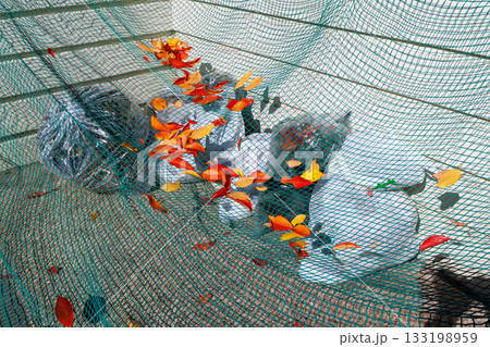 ゴミ集積所のゴミと鳥よけネット 133198959