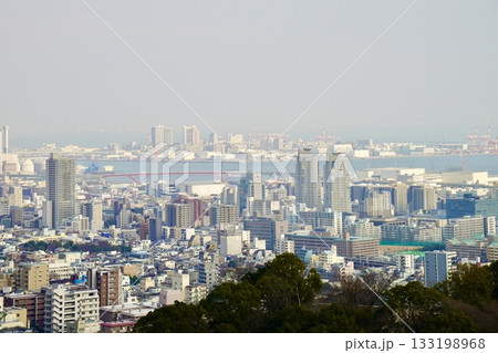 神戸の街とポートアイランドを望んで 神戸の街とポートアイランドを望んで 133198968
