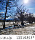 公園　冬　雪景色 133198987
