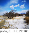 公園　冬　雪景色 133198988