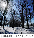 公園　冬　雪景色 133198993