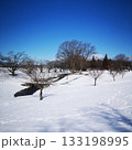 公園　冬　雪景色 133198995