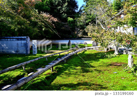 真長寺 庭園 真長寺 庭園 133199160