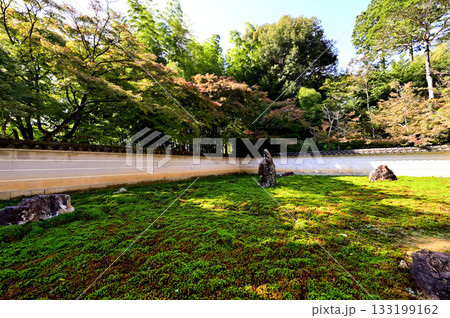 真長寺 庭園 真長寺 庭園 133199162
