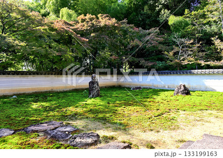 真長寺 庭園 真長寺 庭園 133199163